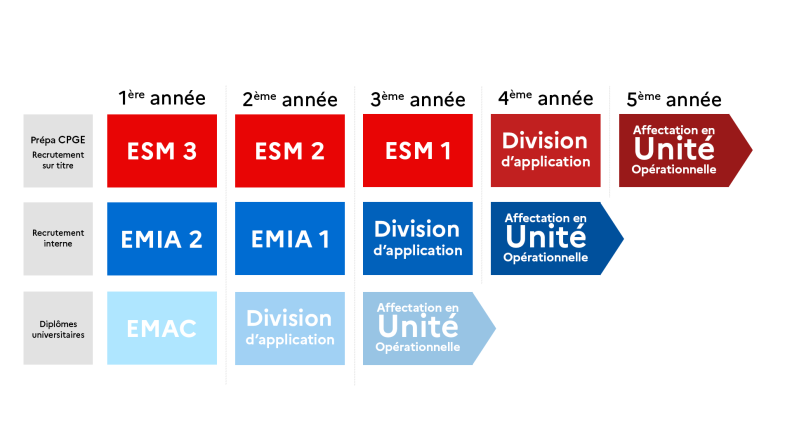 AMSCC - Frise scolarité