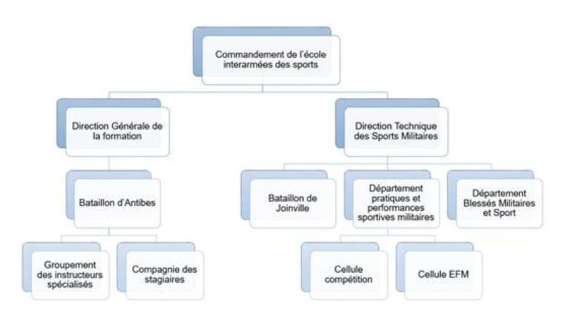 Organigramme EIS