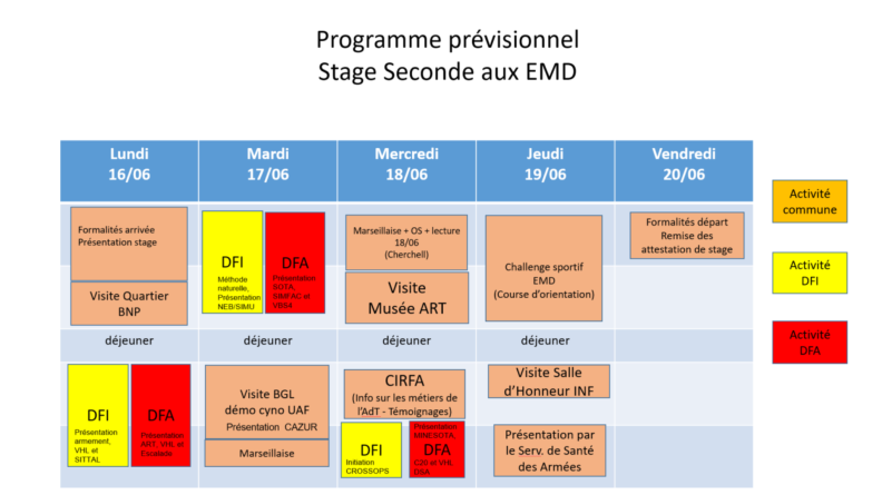 Programme prévisionnel du stage de seconde aux EMD © EMD