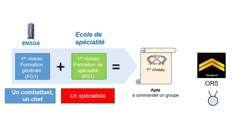 Schéma simplifié de la formation de 1er niveau 