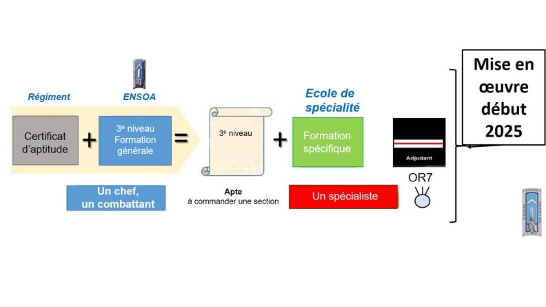 Schéma simplifié de la formation de 3ème niveau