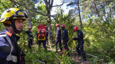 Etablissement de grande longueur dans la forêt varoise