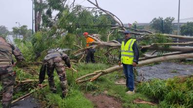 Le 2e RPIMa aide au déblaiement et à la remise en état des axes routiers après le passage du cyclone