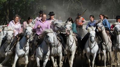 chevaux camarguais