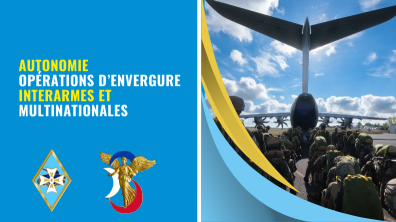 nos divisions©cfot- armée de Terre