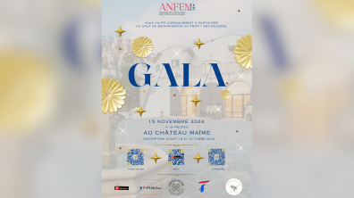 Affiche du gala de bienfaisance organisé  par l'ANFEM de DRAGUIGNAN au profit des blessés © EMD 
