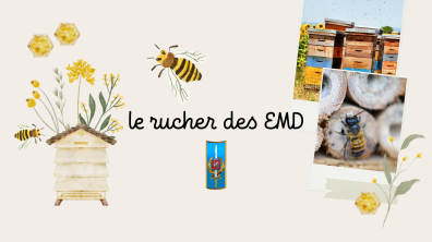 le rucher des EMD © EMD
